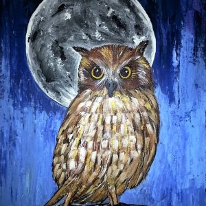 Moonlit owl